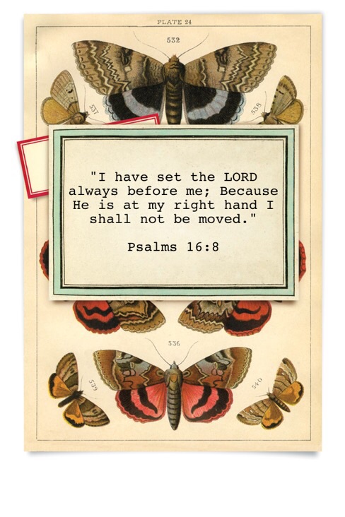 Psalms 16:8
